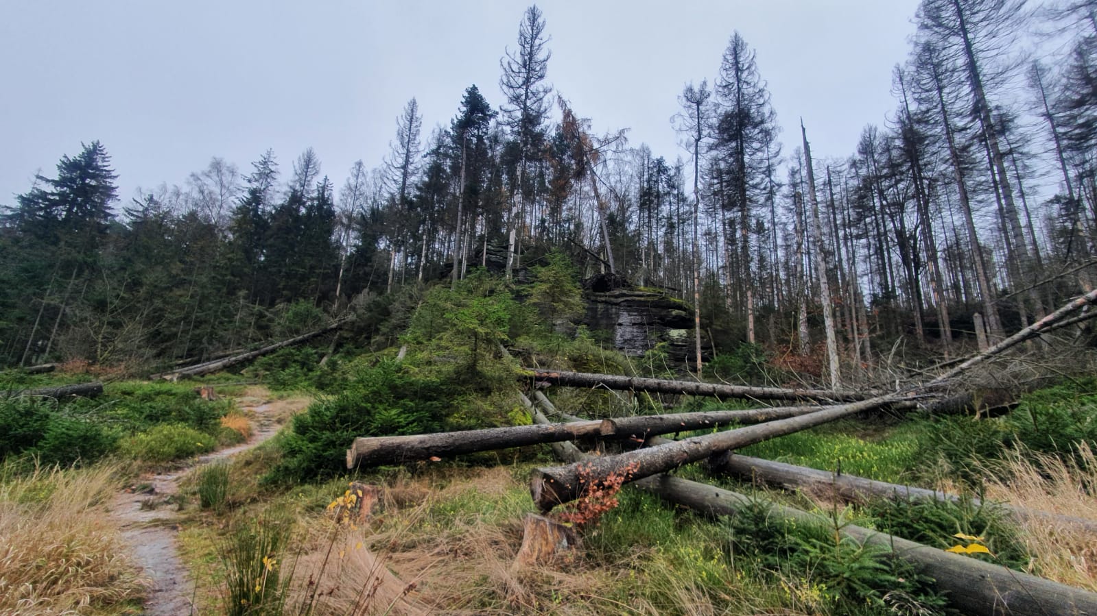 吳衍諄（Jonathan） banner