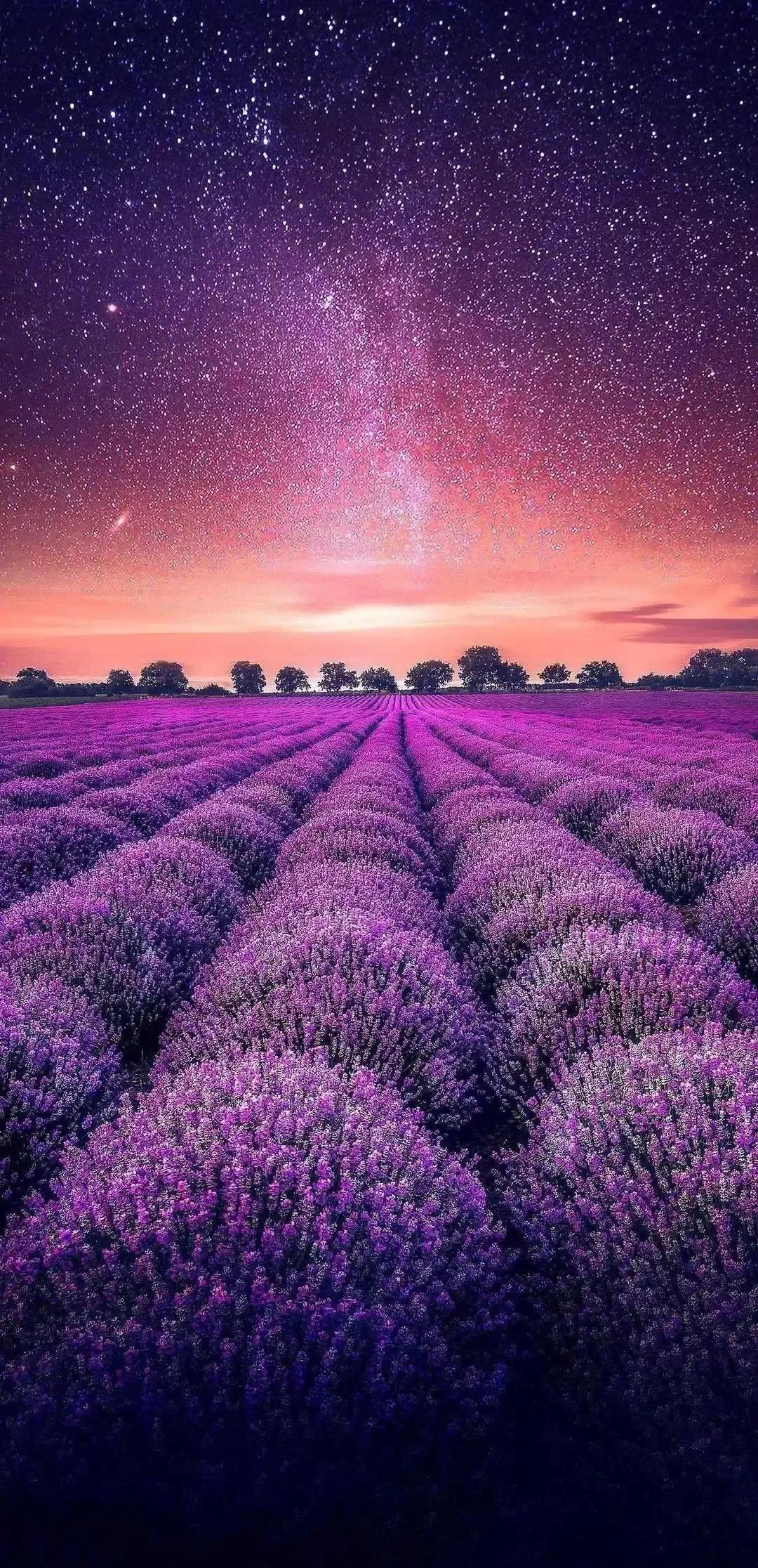 李樂晴（晴晴） banner